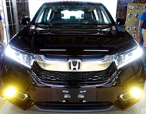 冠道